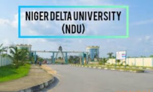 NDU post utme form