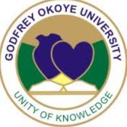 Godfrey Okoye University