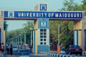 unimaid post utme form